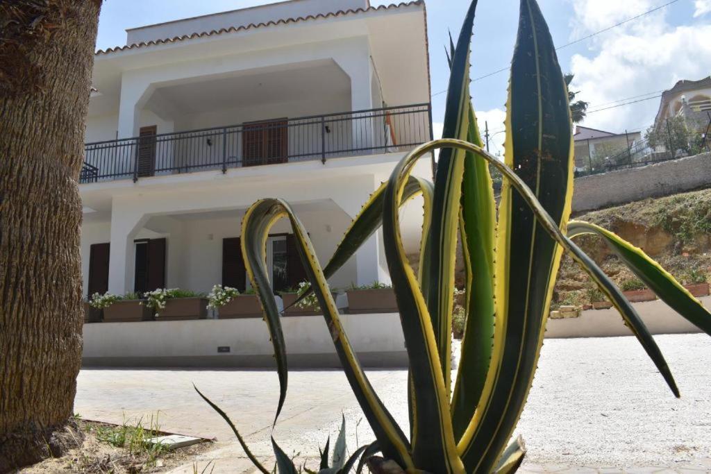 B&B Lastracu Castellammare del Golfo Exterior photo